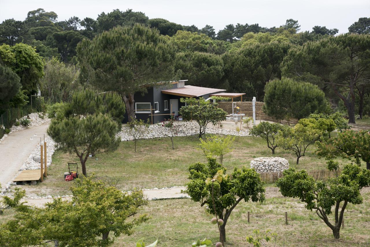Quinta Do Meco - Beach & Nature アルデイア・ド・メコ エクステリア 写真