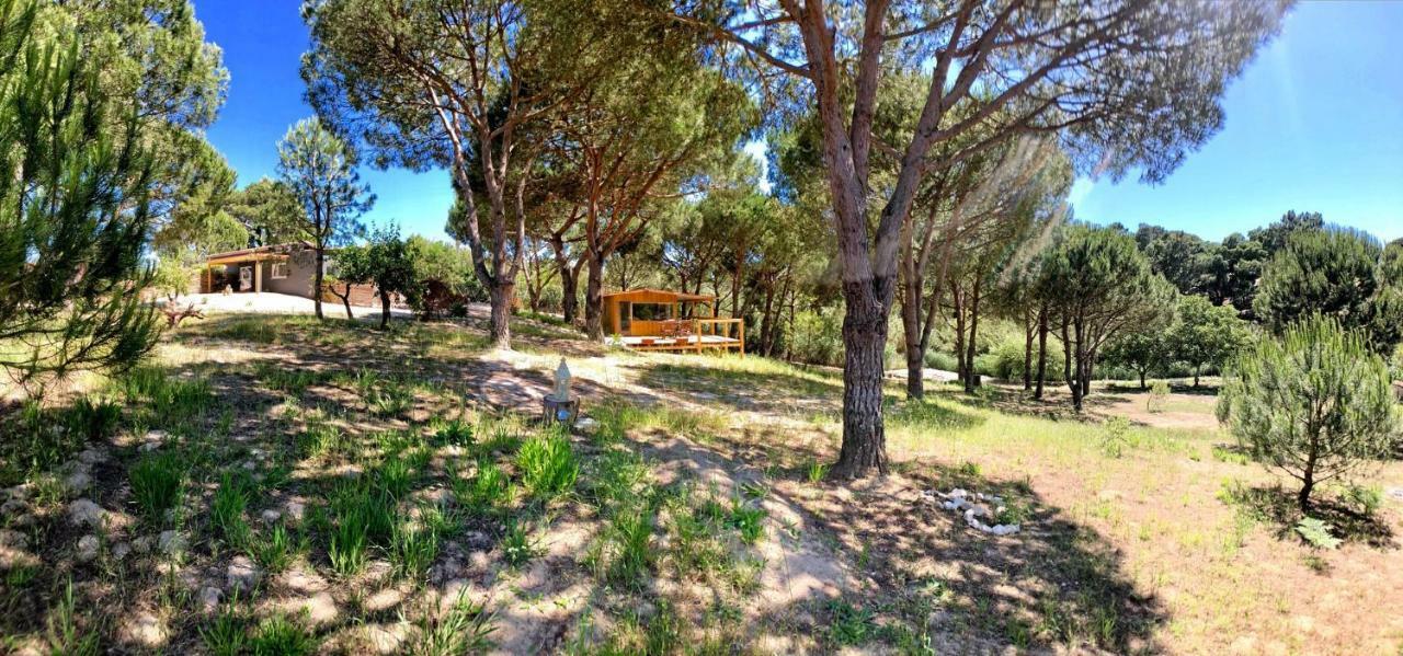 Quinta Do Meco - Beach & Nature アルデイア・ド・メコ エクステリア 写真