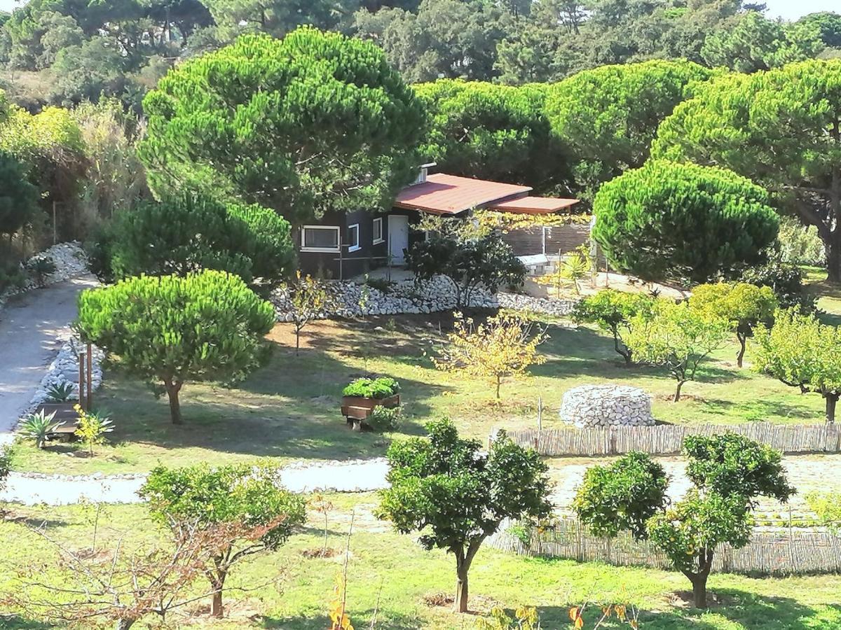 Quinta Do Meco - Beach & Nature アルデイア・ド・メコ エクステリア 写真